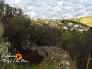Lagar en el castro  O Castrilln de Portomourisco